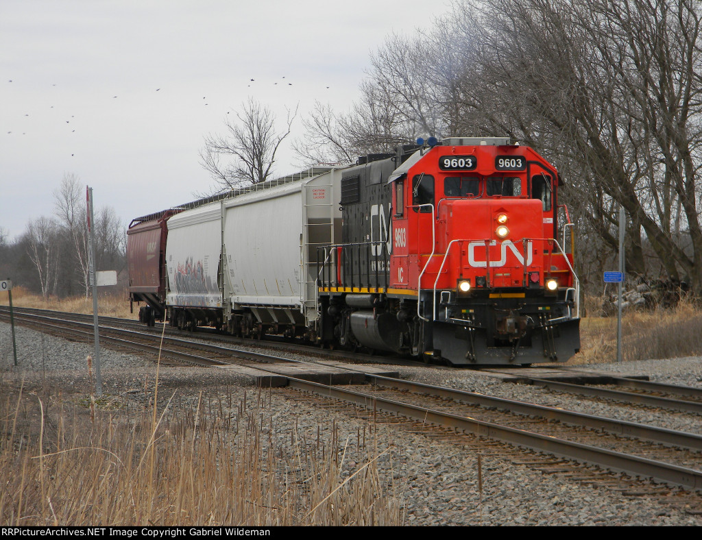 IC 9603 in Anton Siding 